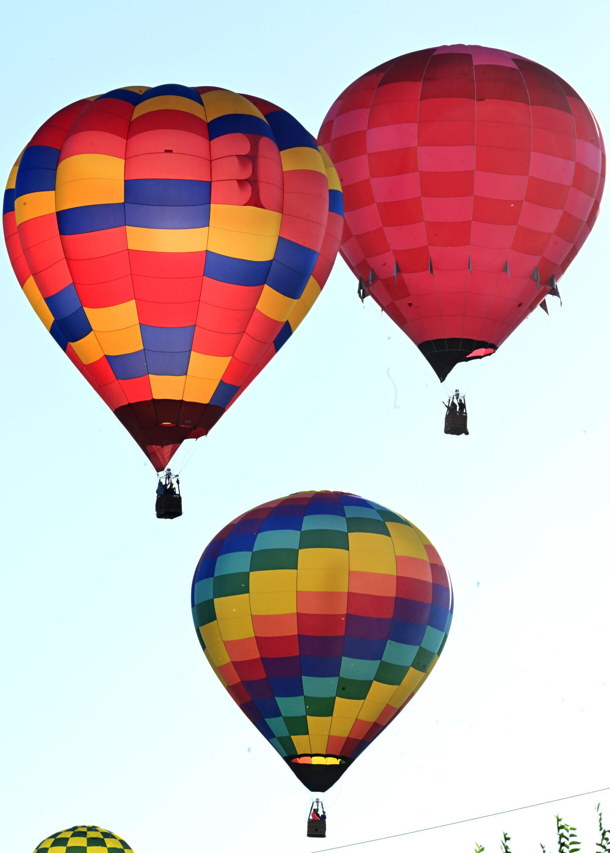 Balloons are glowing from the early morning sun on the second day of the Labor Day Liftoff on Sunday, Sept. 4, 2022. (Photo by Jerilee Bennett, The Gazette) (Jerilee Bennett)