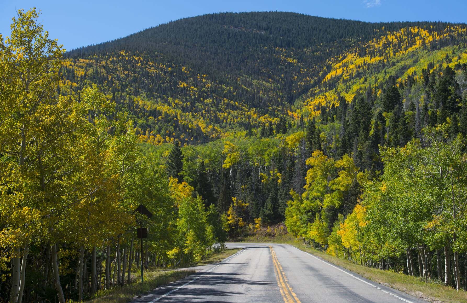 5 best places to see Colorado’s fall colors