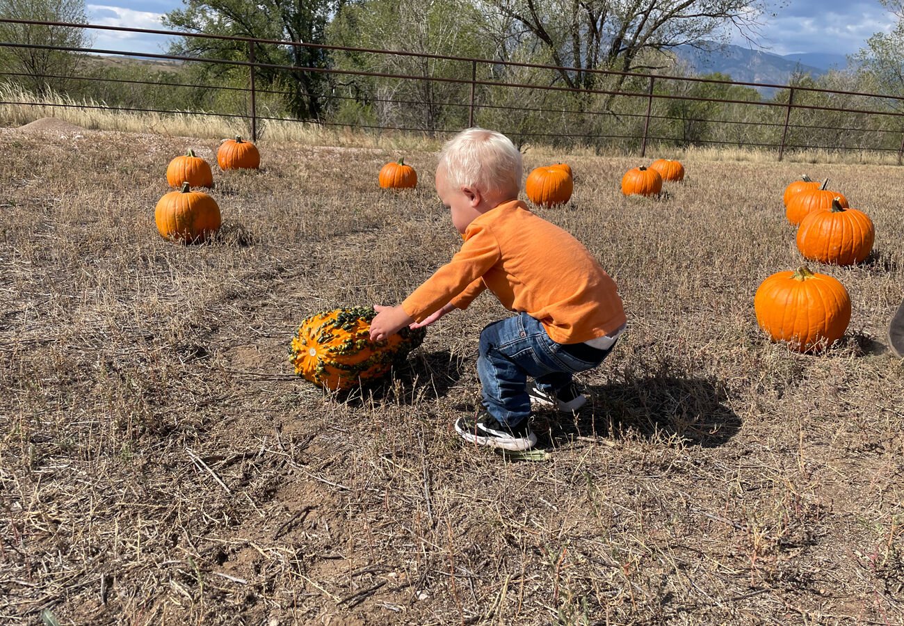 11 weekend things to do around Colorado Springs and beyond: Venetucci Pumpkin Patch, Cool Science Carnival, mountain biking and more