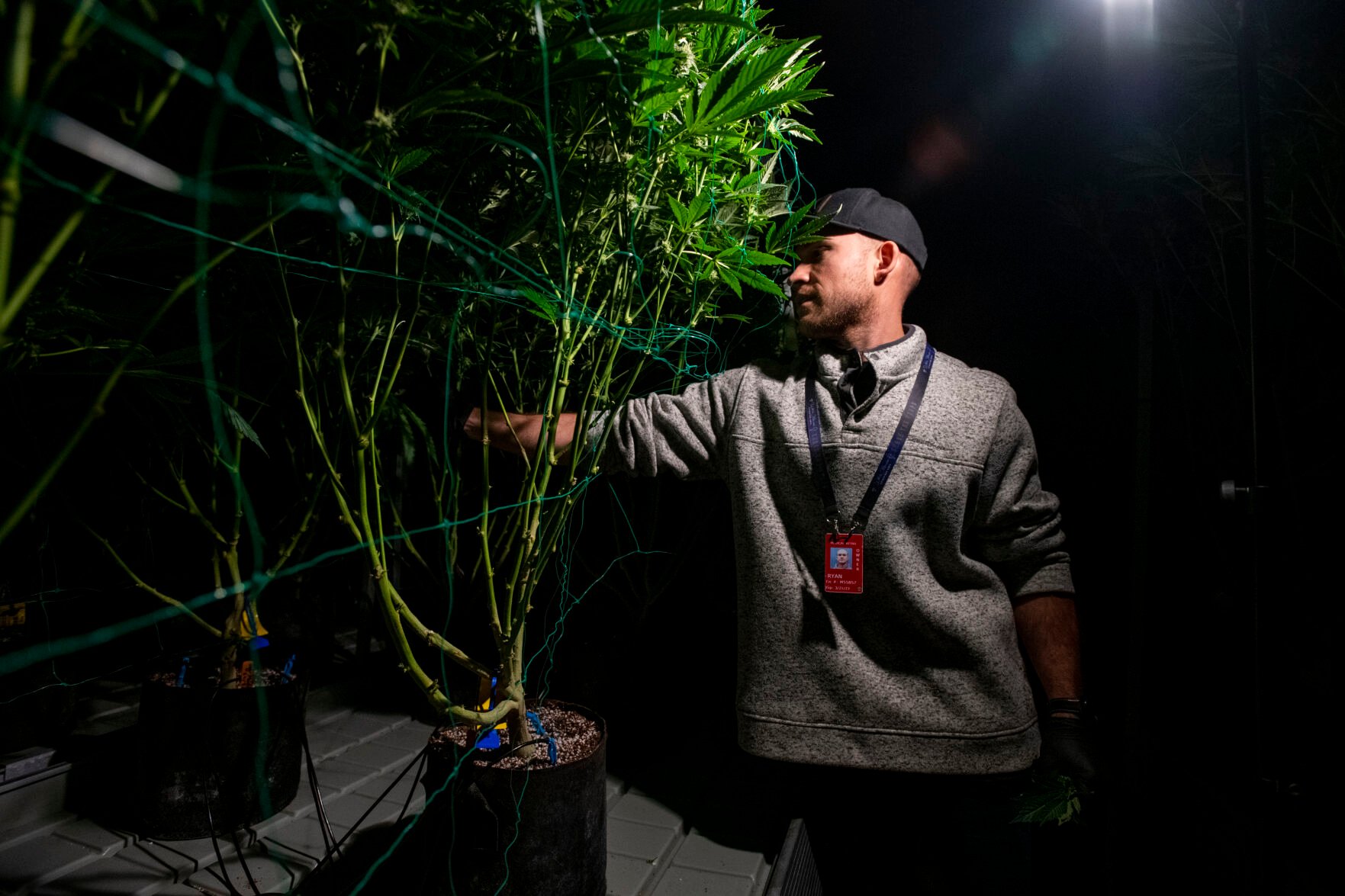 Colorado Springs, Palmer Lake and Cripple Creek weigh retail marijuana sales amid industry downturn