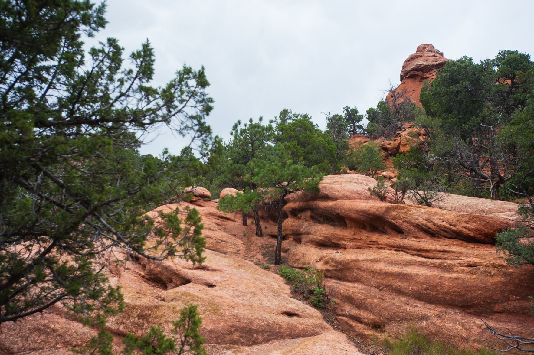 The names behind some of Colorado Springs’ most beloved trails