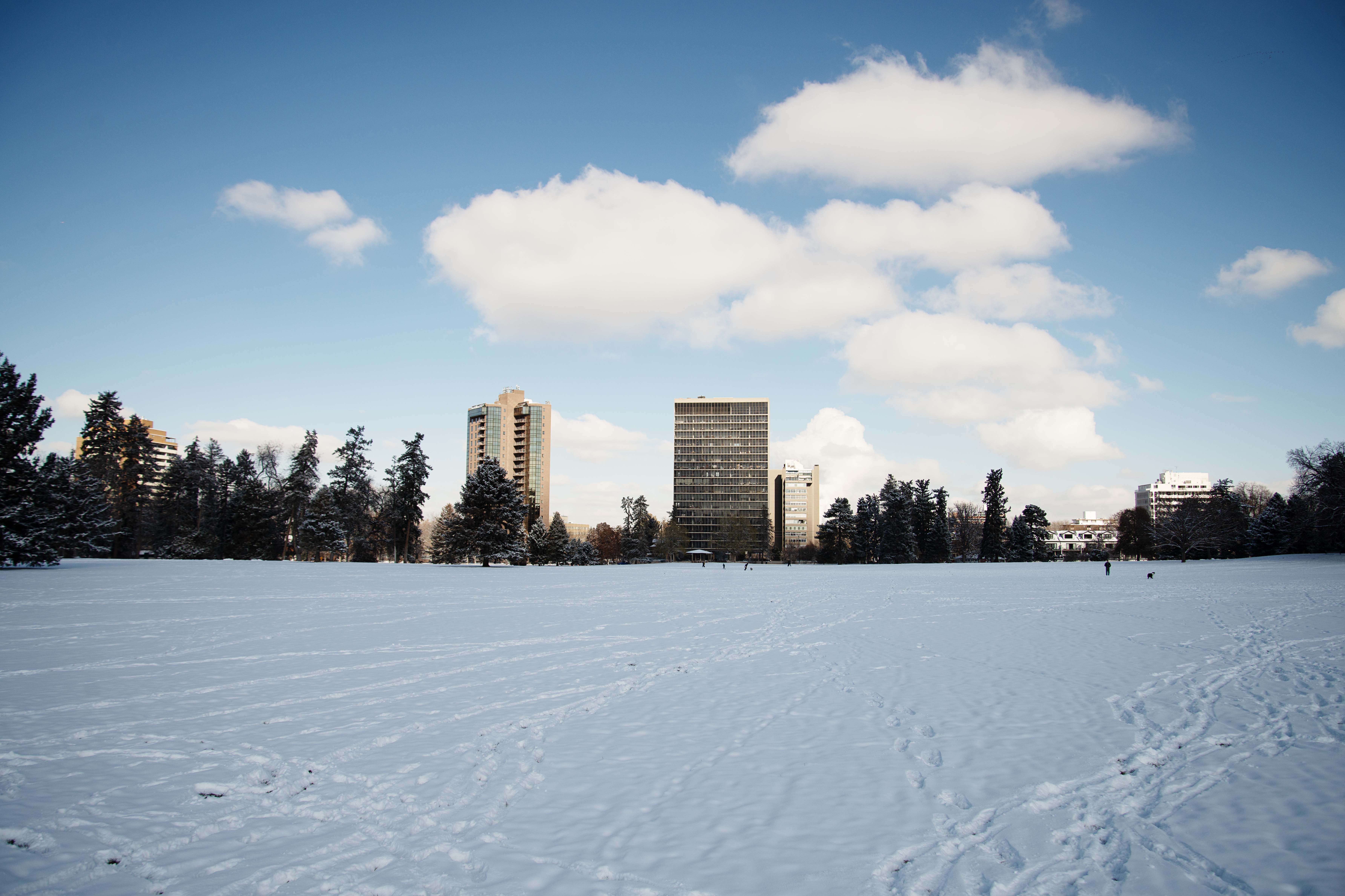 Snow blankets Cheesman Park after a winter storm deposited several inches across the front range on Friday, Nov, 18, 2022.