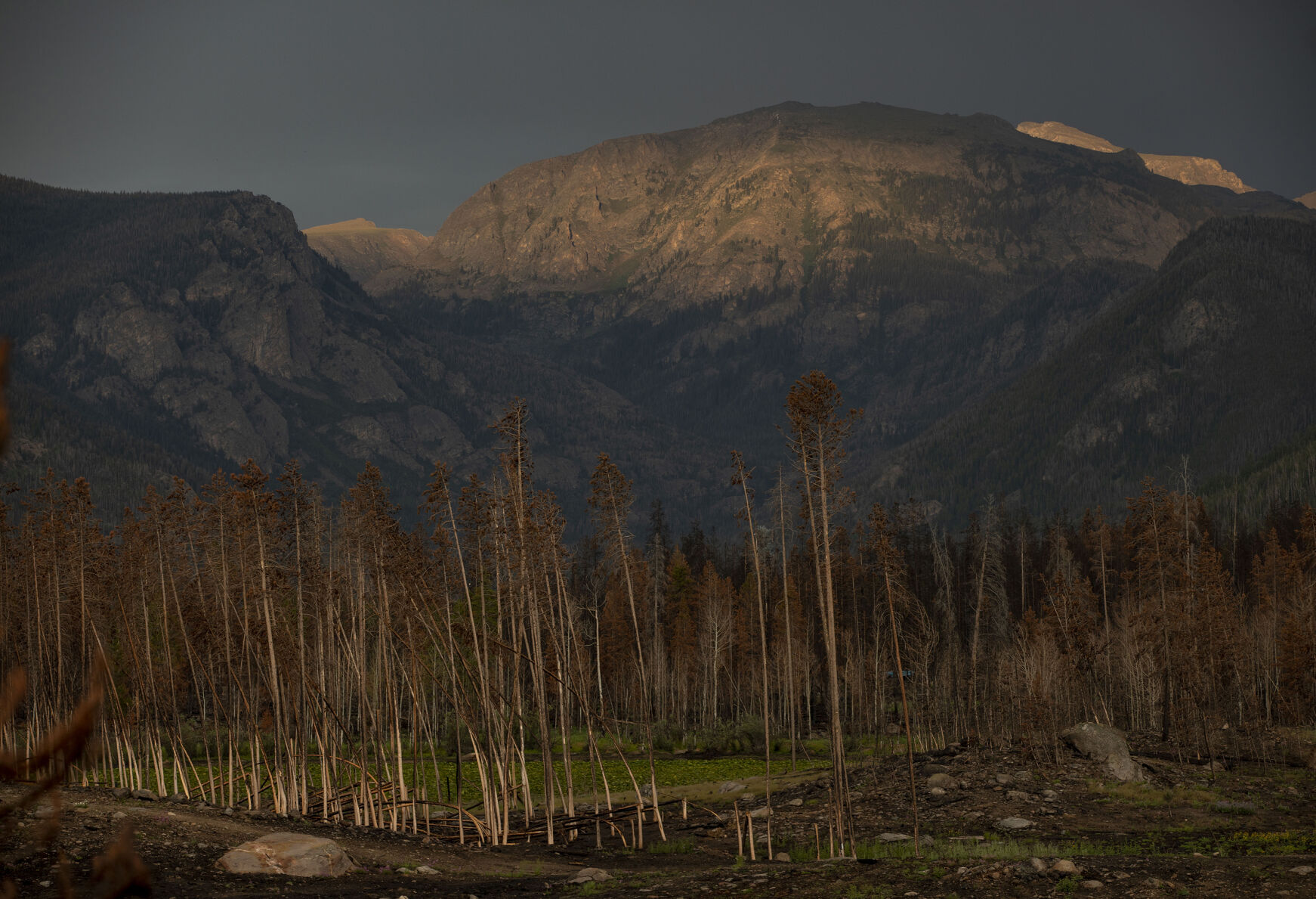 Colorado scientists use AI for improved wildfire forecasts