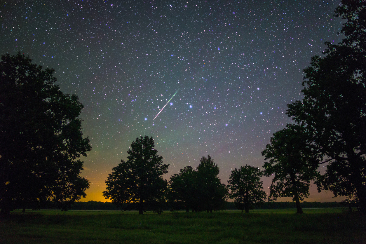 File photo. Photo Credit: Viktar (iStock). (Viktar)