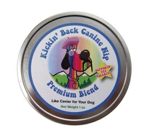 Think catnip is just for cats? Studies show the herb can have a calming effect when ingested by dogs. Kickin’ Back Canine Nip can help anxious pups chill out, and sales also support the nonprofit Harley’s Hope Foundation based in Colorado Springs. (Courtesy photo)