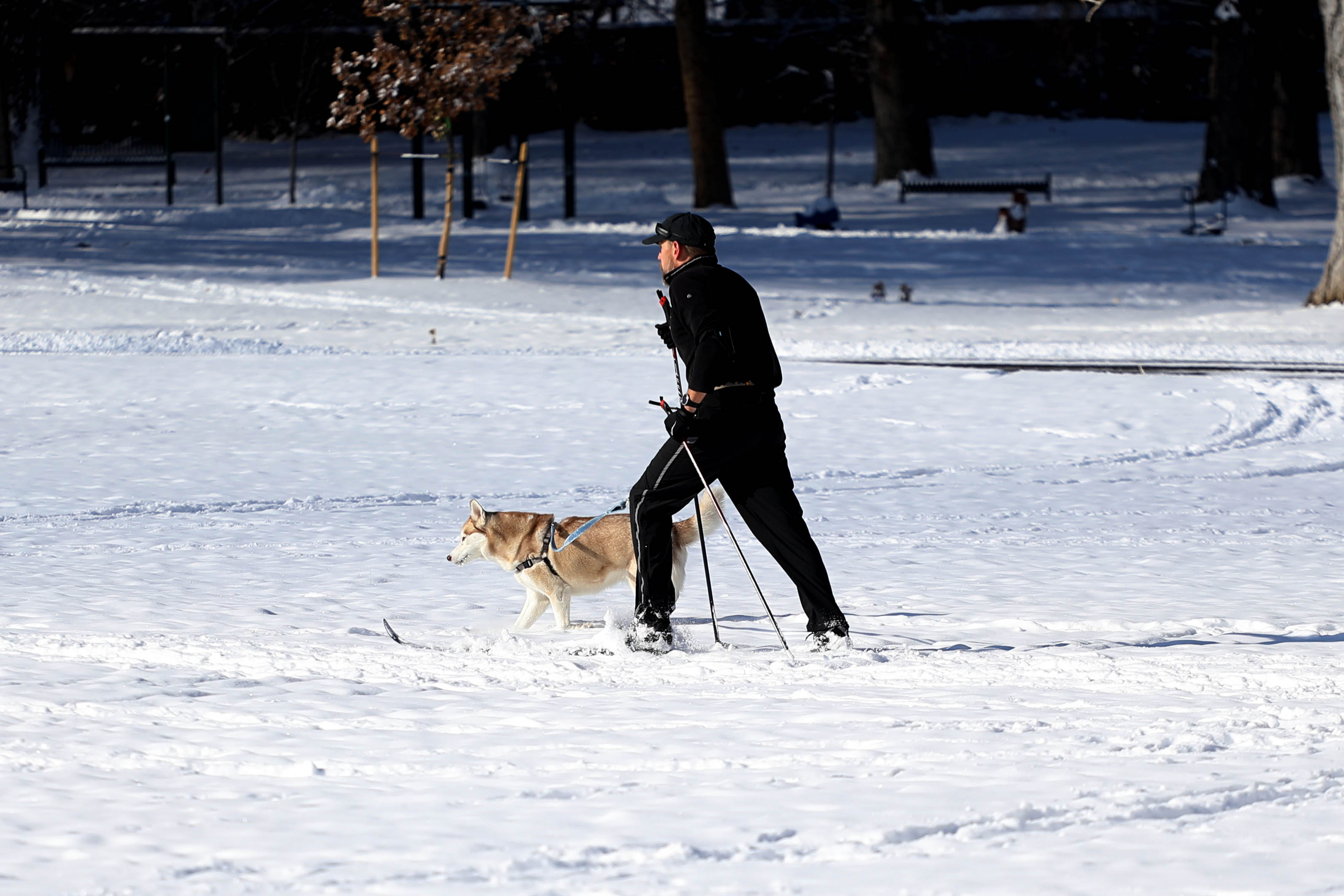 A cross country skier takes their dog through Cheesman Park after a snowstorm blanketed metro Denver on Friday, Nov. 18, 2022. (Tom Hellauer)