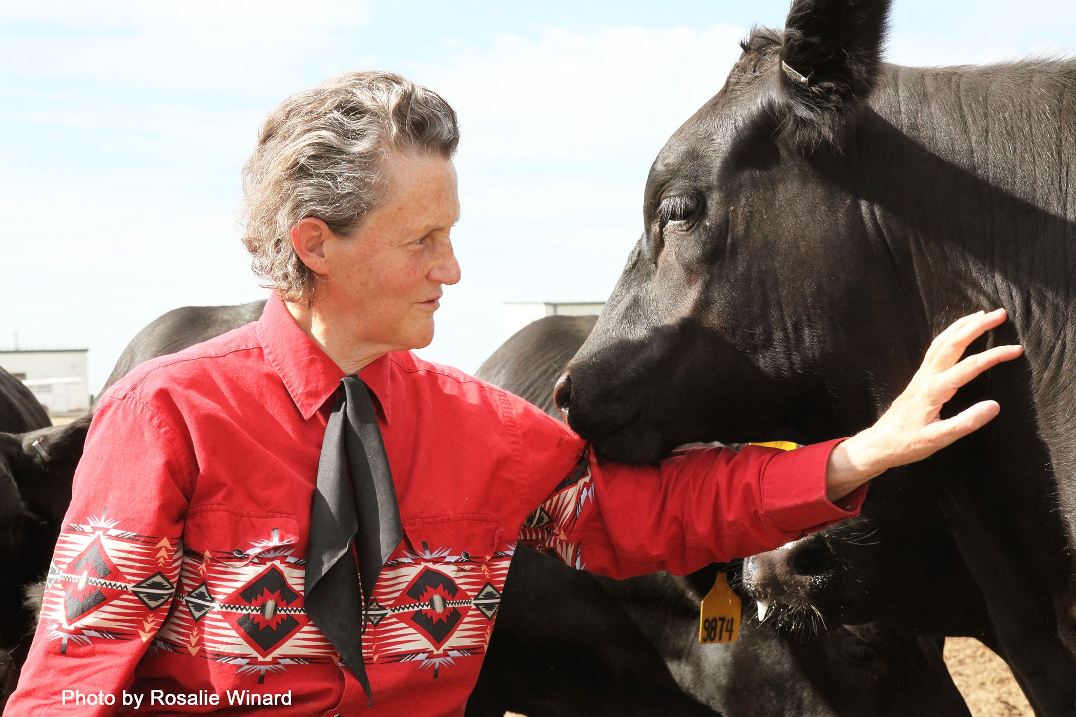 CSU’s Temple Grandin to lead 2023 Stock Show Parade