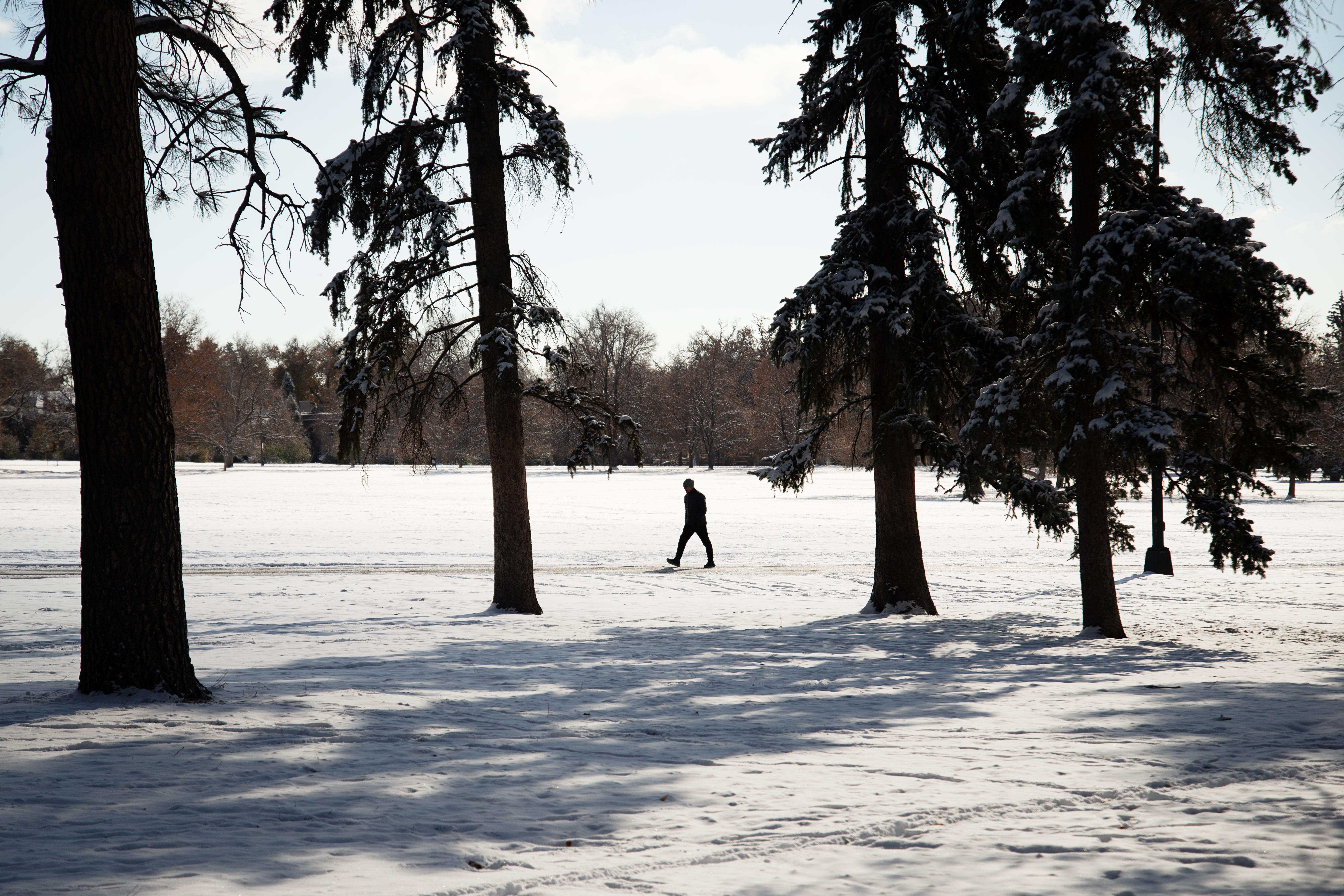A walker works their way through Cheesman Park after a snowstorm blanketed metro Denver on Friday, Nov. 18, 2022. (Tom Hellauer)