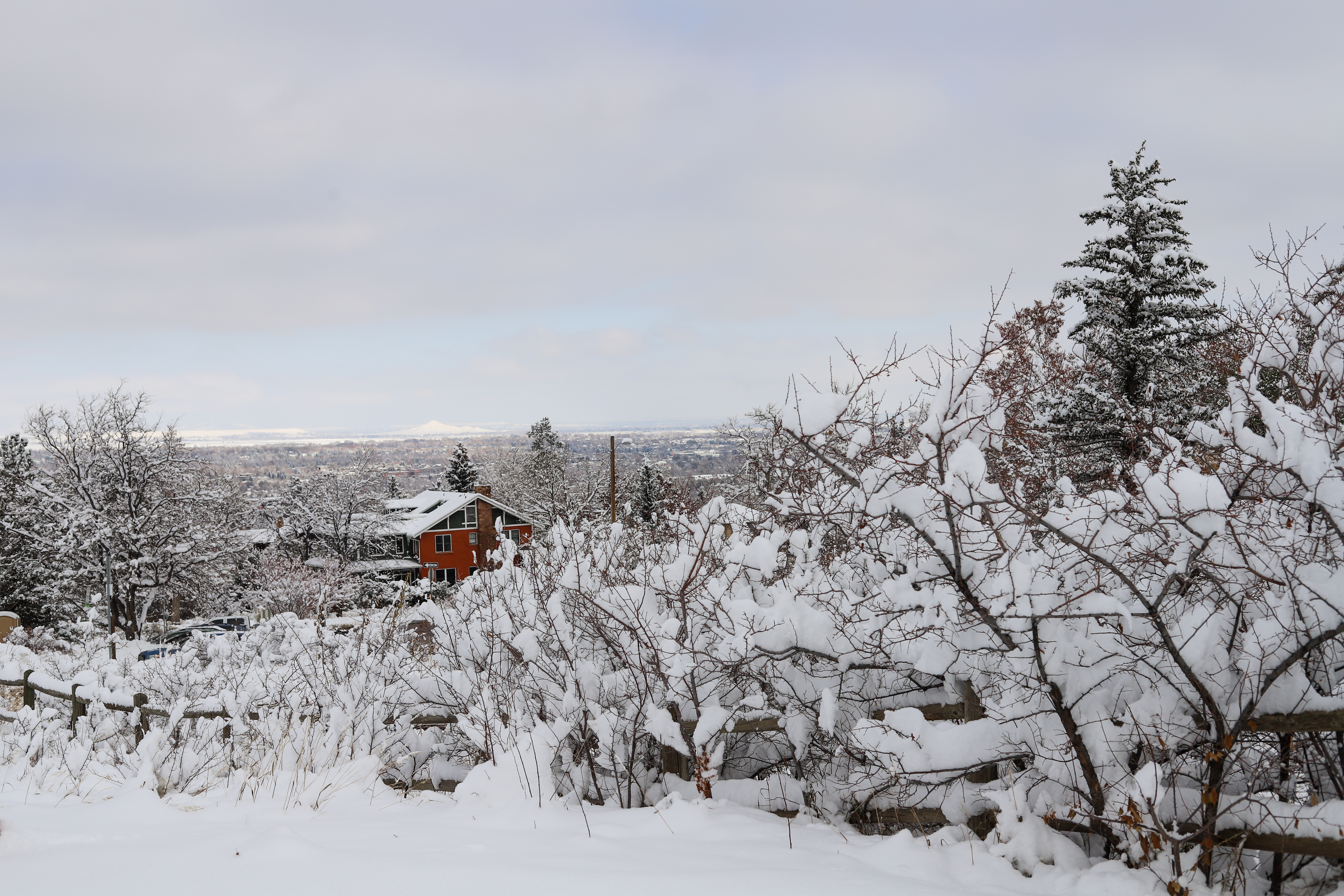 Snowfall in Chatauqua Park. (Kyla Pearce)