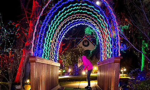 Weekend things to do around Denver and beyond