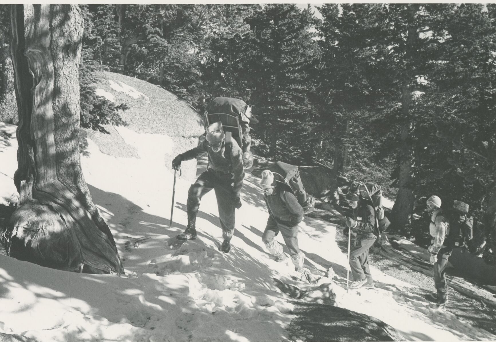 AdAmAn climbers trudge through a snowy forest en route to the top of Pikes Peak for New Year’s Eve fireworks. The club is celebrating its 100-year anniversary in 2022. (Courtesy of Colorado Springs Pioneers Museum)