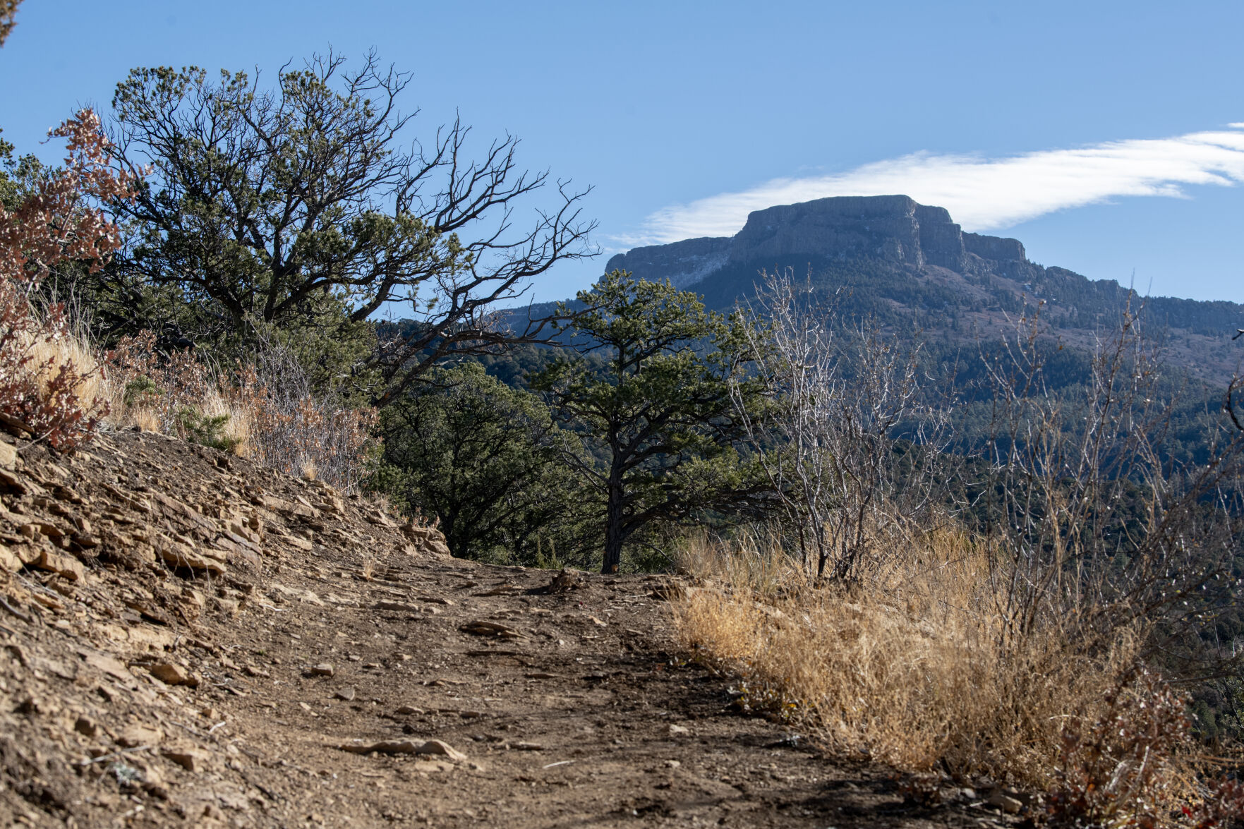 Fishers Peak is seen from Upper Lone Cup Trail. Builders will soon return to the mountain to resume work on a trail to the summit. (Parker Seibold, The Gazette File)