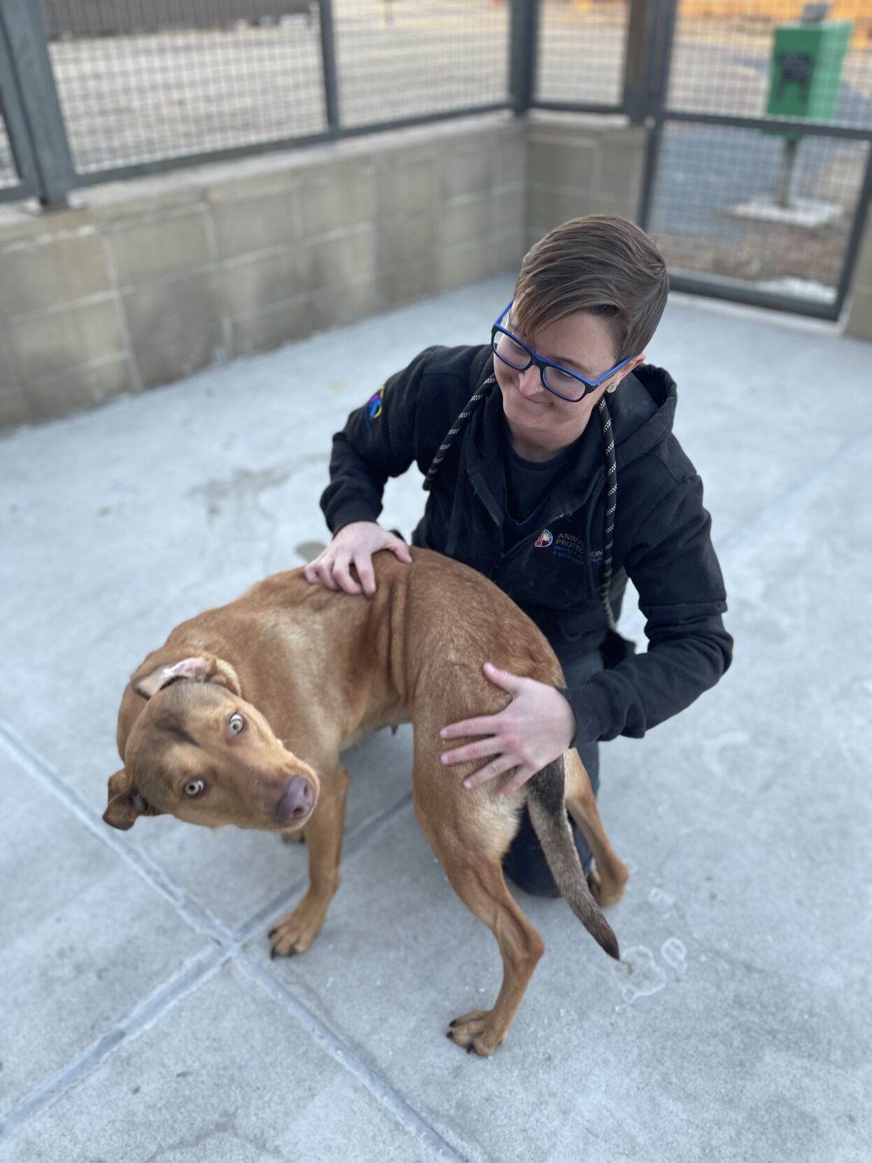 Hannah Barber, an animal care attendant at the Denver Animal Shelter, plays with Havana, a two-year-old hound mix on Saturday Dec. 17, 2022. (NICOLE BRAMBILA/THE DENVER GAZETTE)