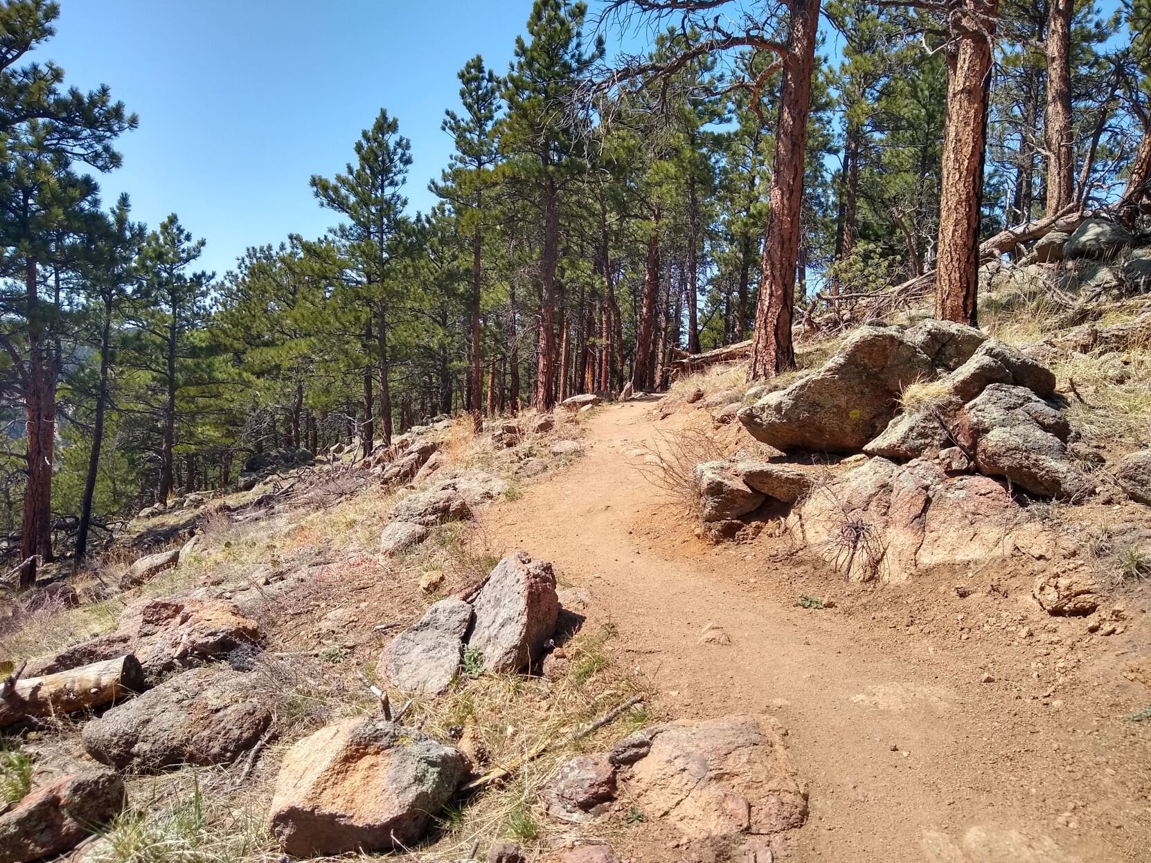 The city of Boulder completed the Anemone Trail in 2022, a 3-plus mile tour of a wooded, rock-festooned promontory west of town. (Courtesy City of Boulder)