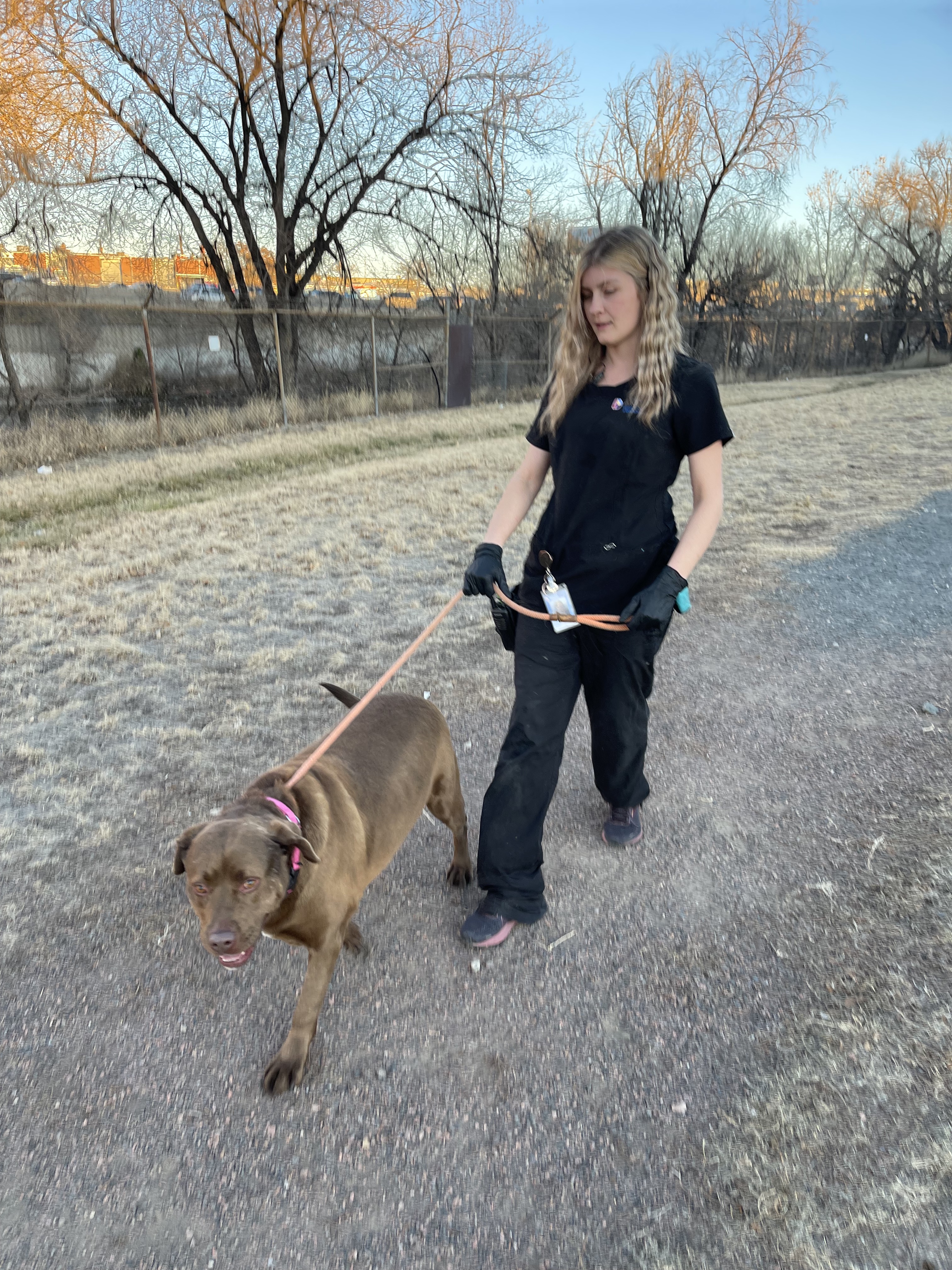Kandise Sutton, an animal care attendant at the Denver Animal Shelter, walks Scrappy, a four-year-old chocolate lab on Saturday Dec. 17, 2022. (NicoBrambilanico.brambila@denvergazette.comhttps://denvergazette.com/content/tncms/avatars/4/ec/74a/4ec74aa2-71b0-11ed-af6f-0f0ae7acf7b0.d52fca74e95503d77da50127c9ff4e2d.png)