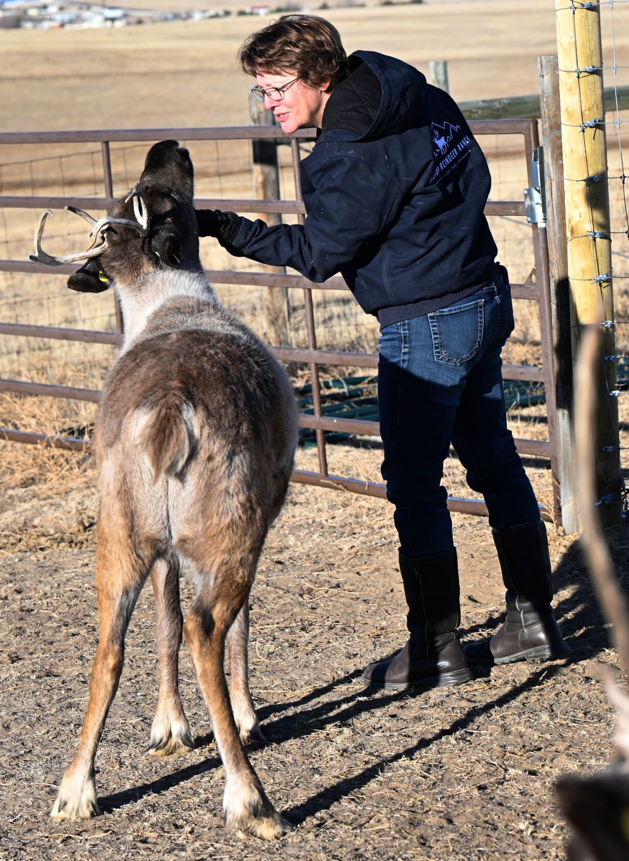 LEFT: Kathy Winkler gives some loving to Jingles. (Christian Murdock/The Gazette)