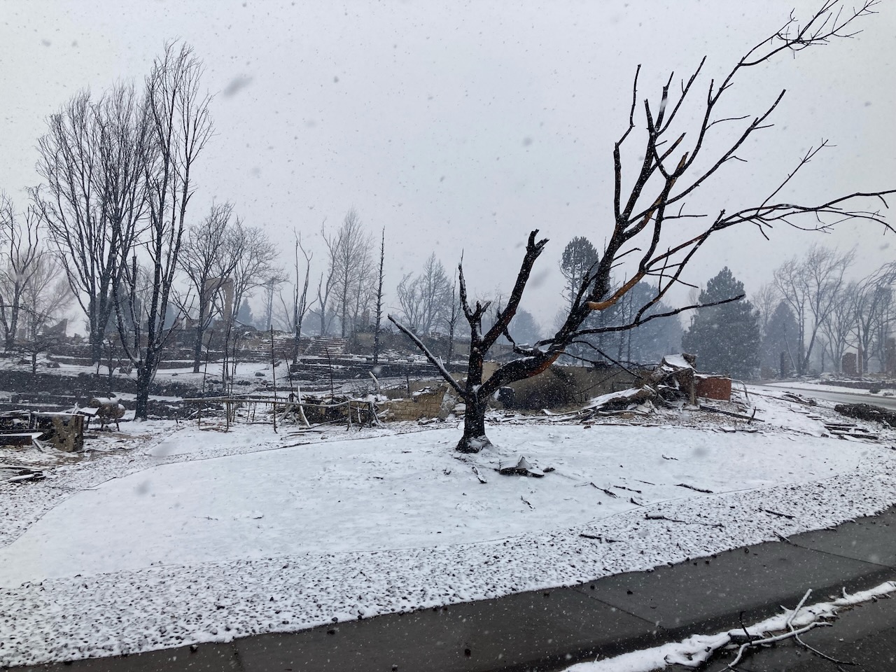 Snow blankets the now empty lot of Mark Carson and Amber Tetreau's Louisville home on Dec. 31 — a day after the Marshall fire. (COURTESY OF MARK CARSON)