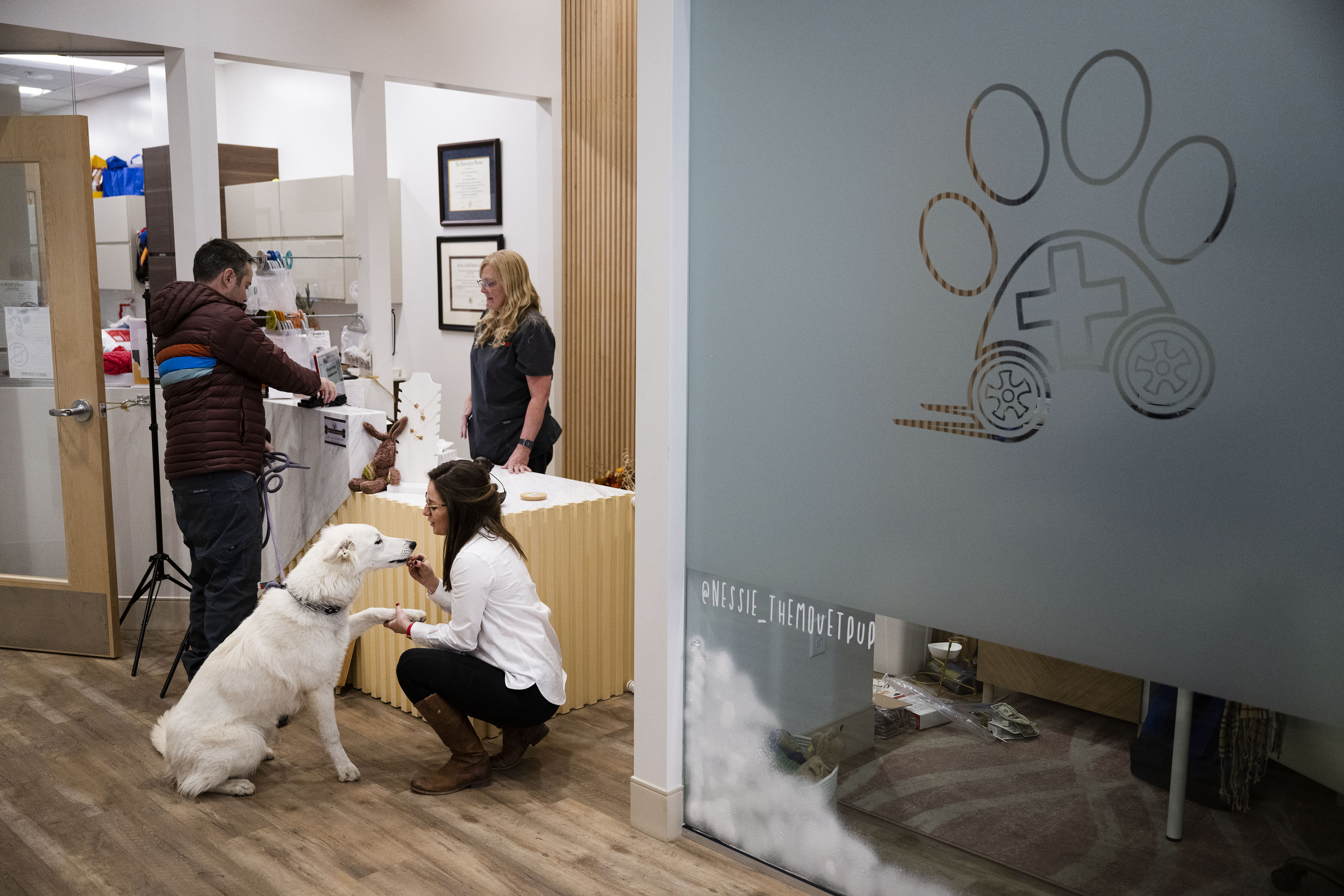 Dr. Lexi Abramson gets a shake and gives a treat to nine-month-old white Swiss shepherd Peshka while owner Mike Roitman purchases a new leash from Dr. Barbara Caldwell at MoVET Pet Boutique and Wellness Clinic on Tuesday, Nov. 22, 2022, at Belleview Station in Denver, Colo. (Timothy Hurst/The Gazette) (TimHursttim.hurst@gazette.comhttps://secure.gravatar.com/avatar/aca82bd62b4ee425c598527cd6faa1b1?d=mm&r=g)