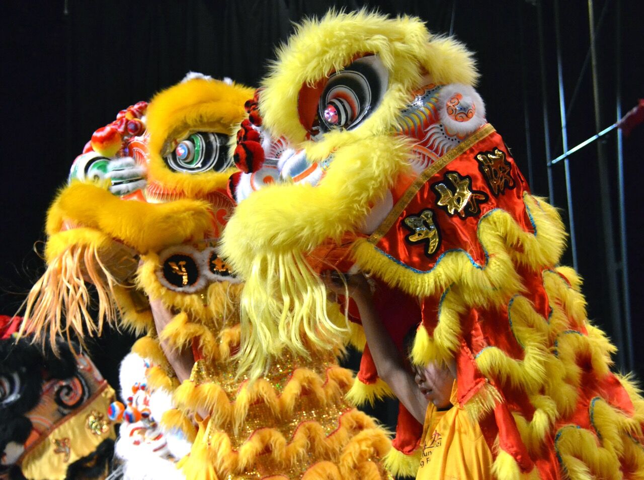 12 weekend things to do around Colorado Springs and beyond; Chinese New Year; AC/DC tribute, Indian market and more