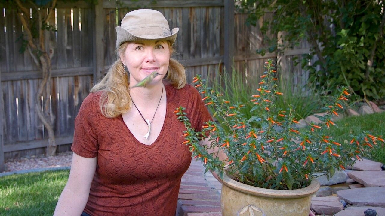 Alison Kondler, a Denver Audubon Master Birder, once did stand-up comedy based on her ability to imitate birds. She’ll be at the High Plains Snow Goose Festival Feb. 3-5 in Lamar. The festival’s main attraction is the hundreds of thousands of snow geese hanging out at Prowers County’s ponds, lakes and reservoirs. Courtesy Alison Kondler