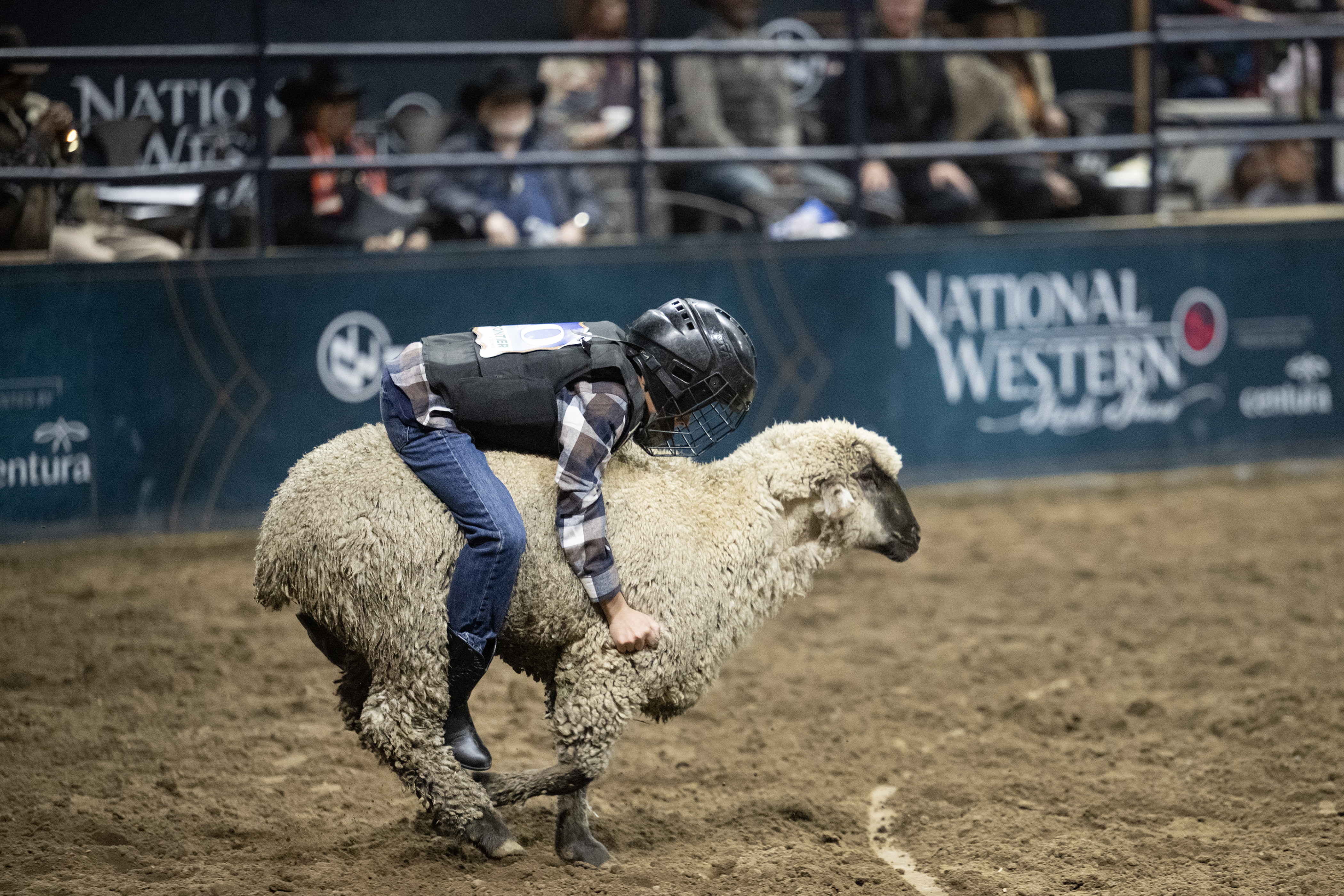 Jermell Wesley Redwine Jr., 7, hangs on while competing in Mutton Bustin’ during the MLK Jr. African-American Heritage Rodeo on Monday, Jan. 16, 2023, at the Denver Coliseum in Denver, Colo.(Timothy Hurst/The Denver Gazette) (TimHursttim.hurst@gazette.comhttps://secure.gravatar.com/avatar/aca82bd62b4ee425c598527cd6faa1b1?d=mm&r=g)