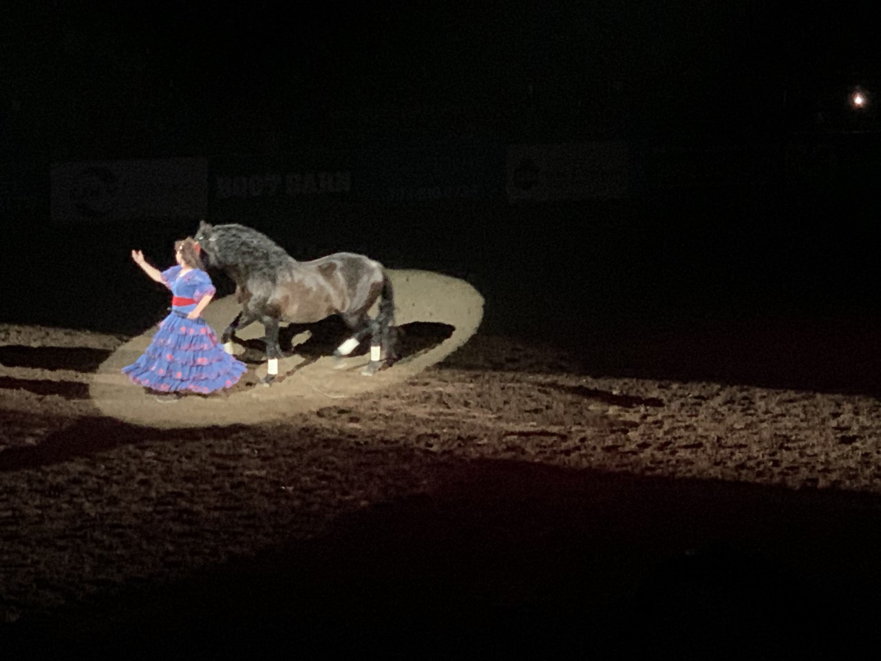 Staci Diaz with her Liberty Horse show at the National Western Stock Show Mexican Rodeo Extravaganza Sunday at the Denver Coliseum. (DennisHuspeniCity Editordennis.huspeni@gazette.comhttps://denvergazette.com/content/tncms/avatars/c/5a/fbd/c5afbd32-5030-11eb-bdef-030d9de52a9e.779683cee495ffe64766291c251a8894.png)