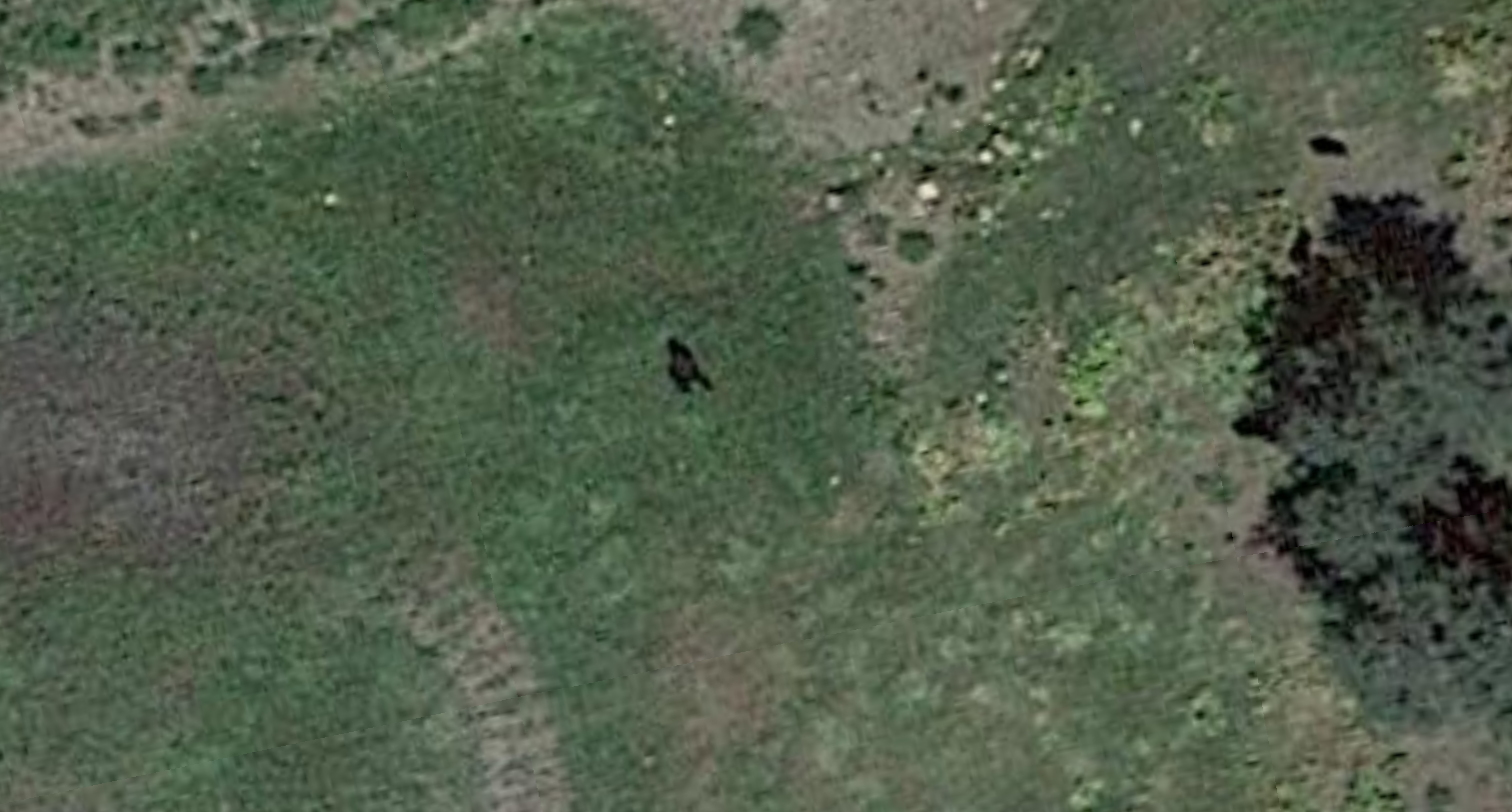 Map Data ©2023 Google Imagery ©2023, Maxar Technologies