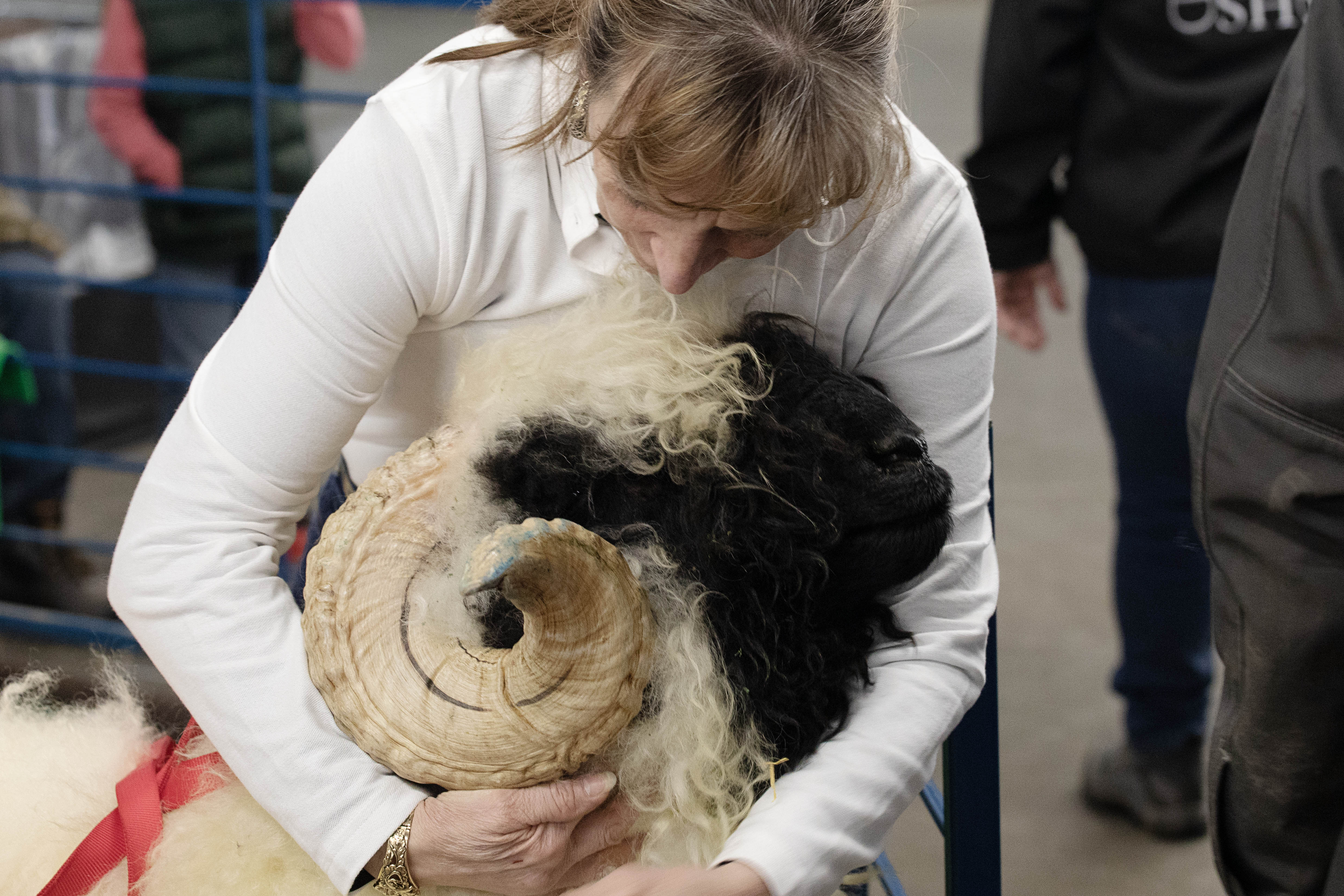 Joy Dally hugs an adult valais blacknose sheep from her farm while at the National Western Stock Show in Denver on Sat. Jan. 7, 2023. Dally and her husband, Martin, staffed a booth at the stock show — drawing excited crowds to see the sheep, which are from Switzerland originally. (TomHellauerMultimedia Producertom.hellauer@denvergazette.comhttps://denvergazette.com/content/tncms/avatars/f/9e/622/f9e6228a-3b6b-11ed-bf10-fbb71fa8e421.f54b911252c540f1d61709edc4727a39.png)