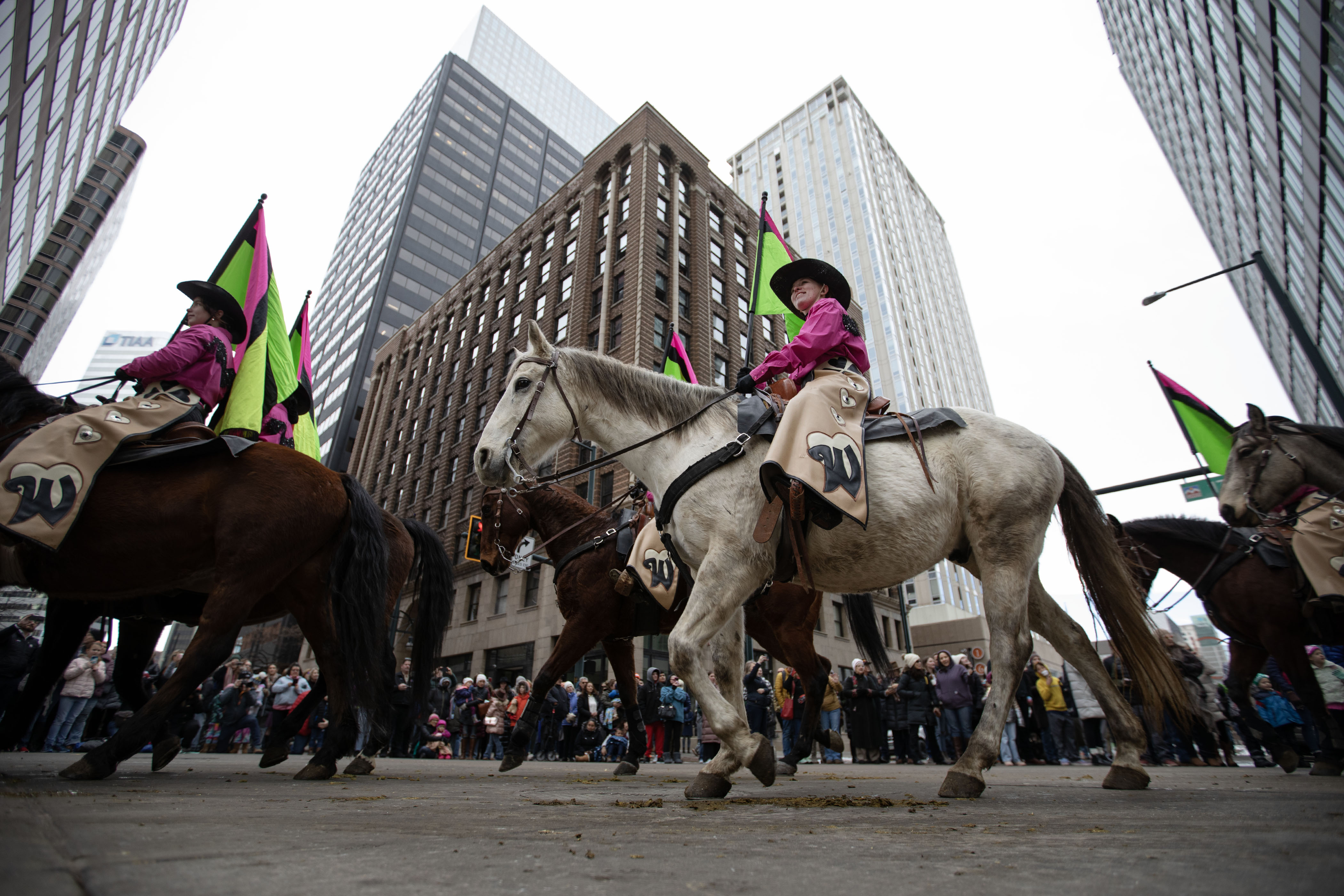 Riders with the Westernaires make the turn from 17th Street to Glenarm Place during the National Western Stock Show Parade on Thursday, Jan. 5, 2023, in Denver, Colo.(Timothy Hurst/The Denver Gazette) (TimHursttim.hurst@gazette.comhttps://secure.gravatar.com/avatar/aca82bd62b4ee425c598527cd6faa1b1?d=mm&r=g)