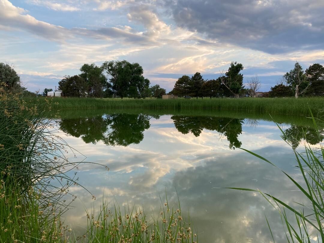 FILE PHOTO: The land of the former Park Hill Golf Course in Denver, Colo. (DENVER GAZETTE)