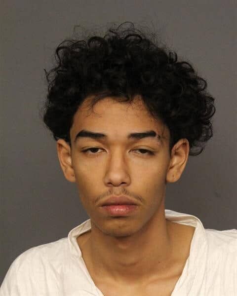 Elrich Haliburton, 18, was charged with two counts of aggravated robbery (F3), two counts of conspiracy to commit aggravated robbery (F4), one count of aggravated motor vehicle theft (F4), one count of conspiracy to commit aggravated motor vehicle theft (F5) and one count of aggravated motor vehicle theft (F5). (Denver Police Dept)