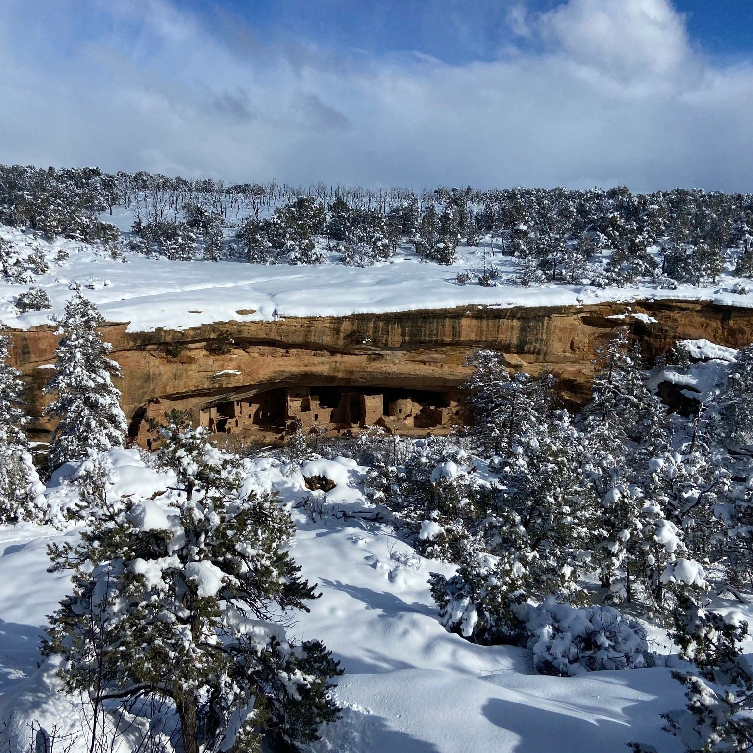 The Cliff Dwellings at Mesa Verde National Park. Image: Mesa Verde National Park, Facebook.