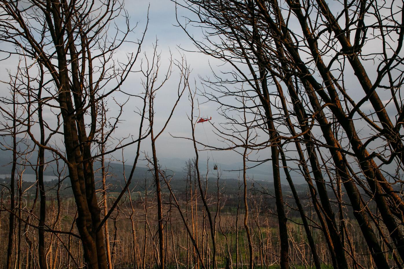 Colorado officials seek $50 million in immediate federal funding for wildfire recovery efforts