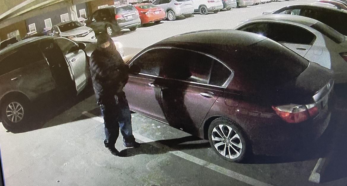 Douglas County vehicle break-in spree; 20 cars targeted in one night