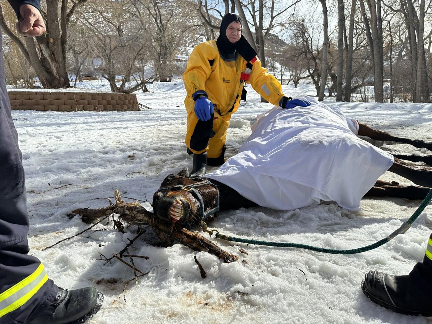 First responders rescue horse from frozen pond