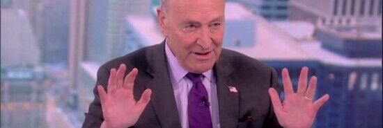 Schumer dismisses lack of enthusiasm for Biden 2024 run: ‘You can’t always believe polling’