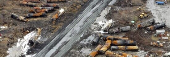Fish, chickens, and foxes: Ohioans say animals getting sick after train crash