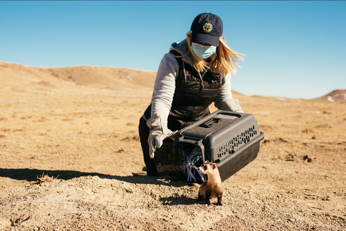 Photo: Colorado Parks and Wildlife.