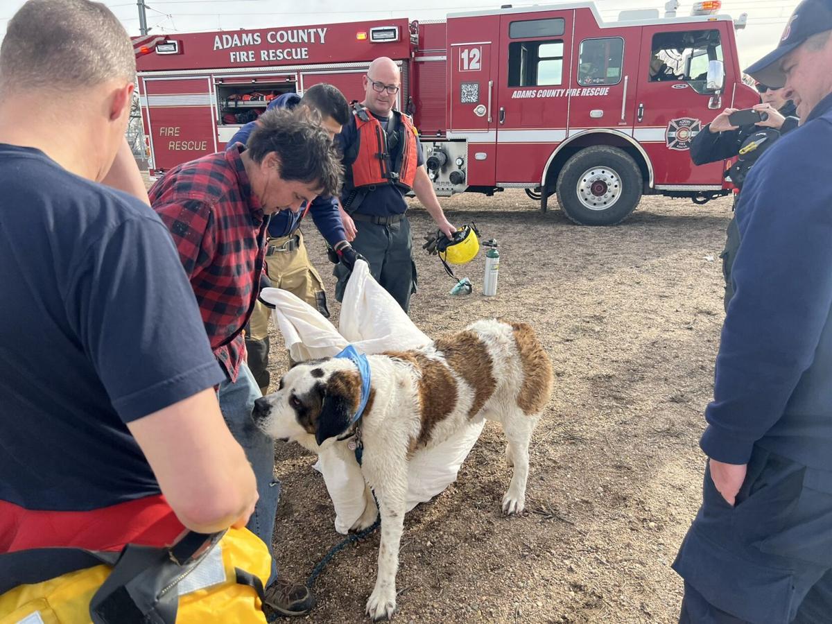 155-pound dog falls through frozen lake in Colorado