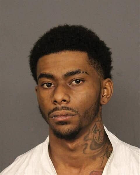 Nyariee Richardson, 21, is charged with two counts of aggravated robbery (F3), one count of aggravated motor vehicle theft (F4), one count of aggravated motor vehicle theft (F5), two counts of conspiracy to commit aggravated robbery (F4), two counts of attempted aggravated robbery (F4), one count of attempt to influence a public servant (F4), one count of conspiracy to commit aggravated motor vehicle theft (F5) and one count of aggravated motor vehicle theft (F6). (Denver Police Dept)