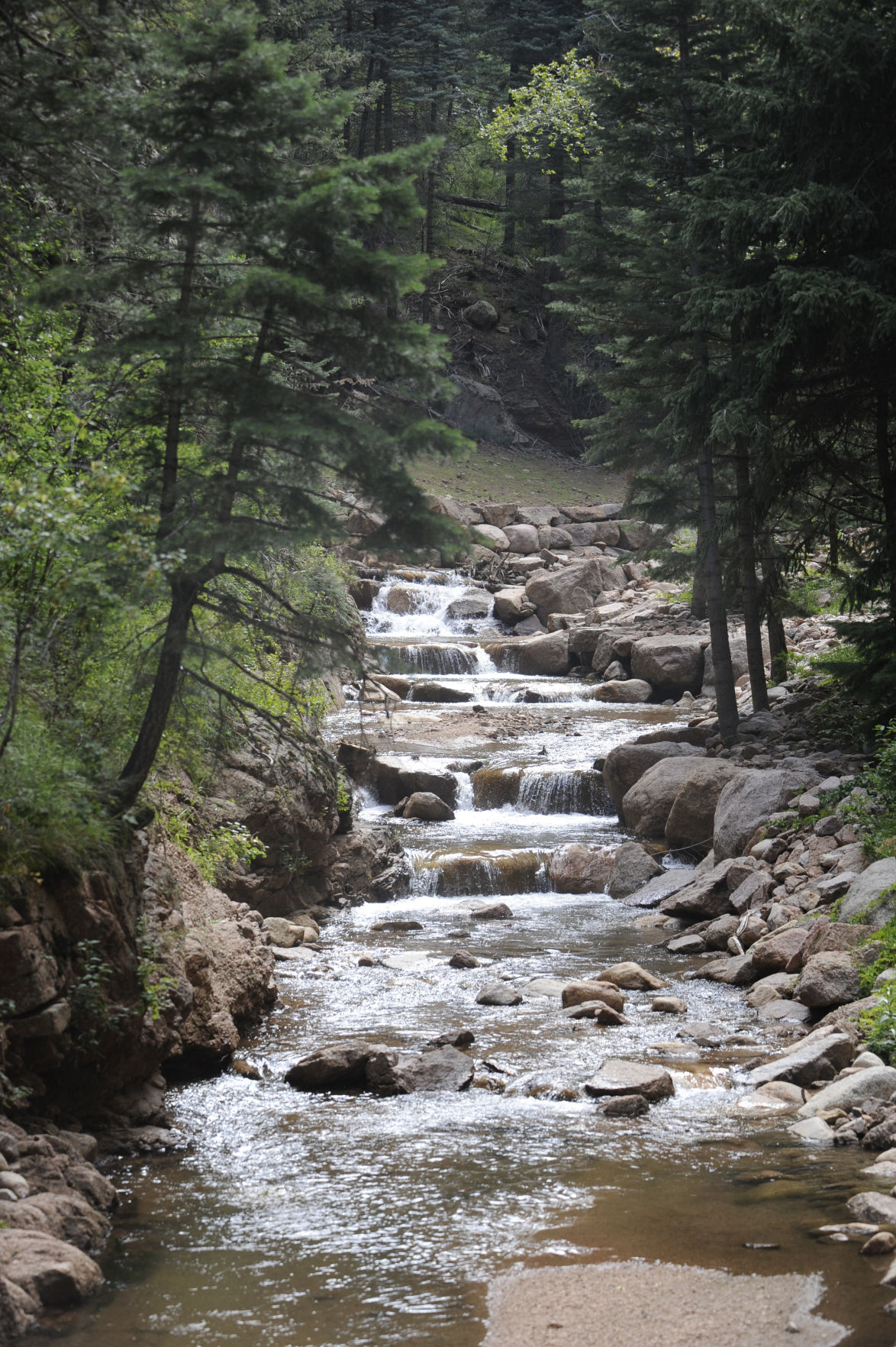 A creek runs through the woods of Seven Falls. (JERILEE BENNETT, THE GAZETTE)