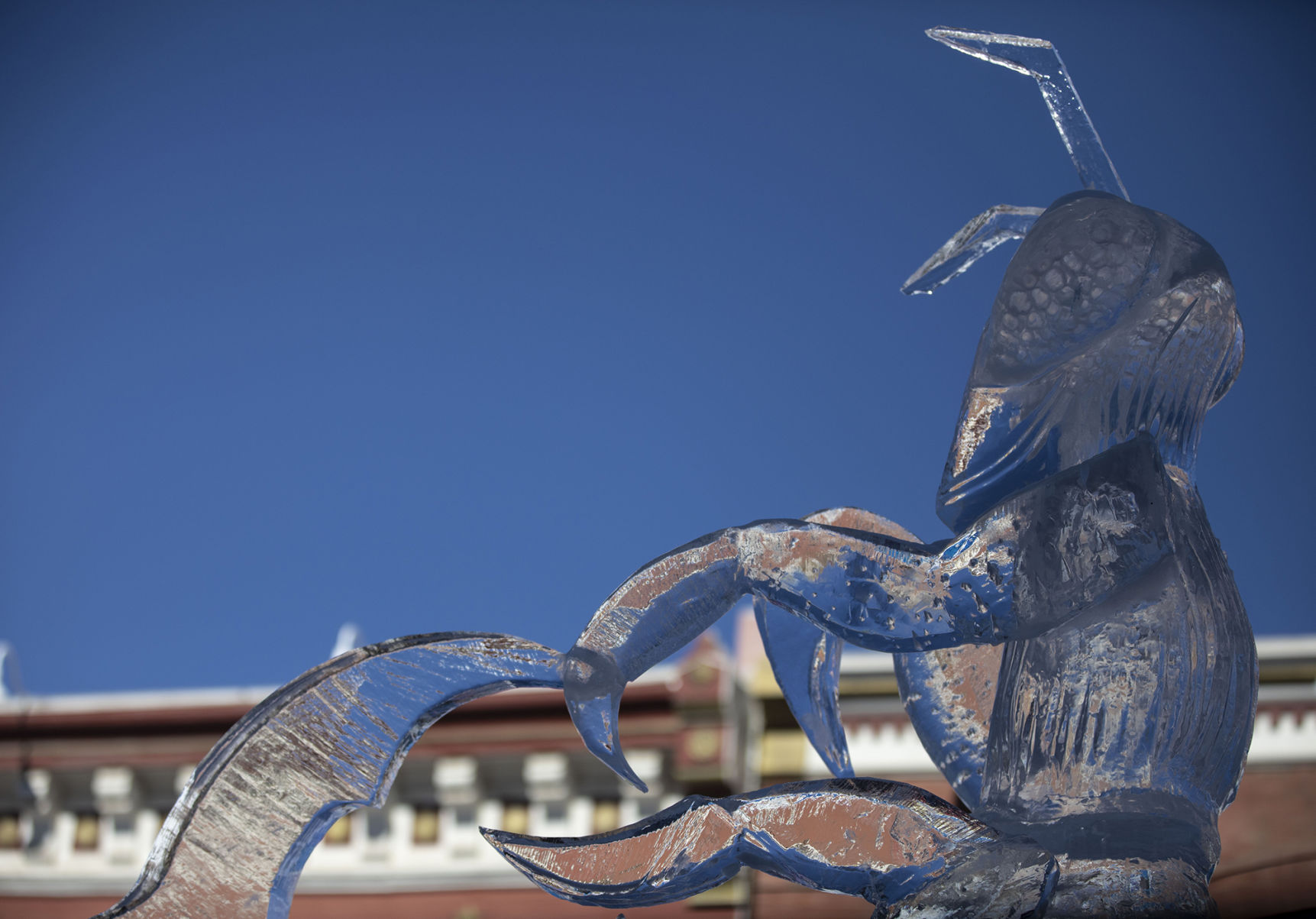 An ant ice sculpture comes together at the Cripple Creek Ice Festival on Feb. 8, 2020. (Gazette file)