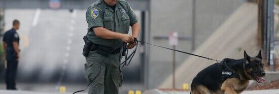 Top police official slams bill calling for ban on use of K-9s on racial grounds