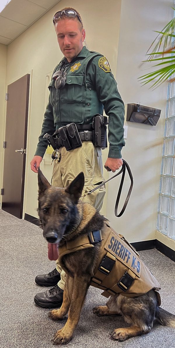 Jefferson County Sheriff’s K-9 handler pays tribute to Graffit, a police dog who was shot and killed