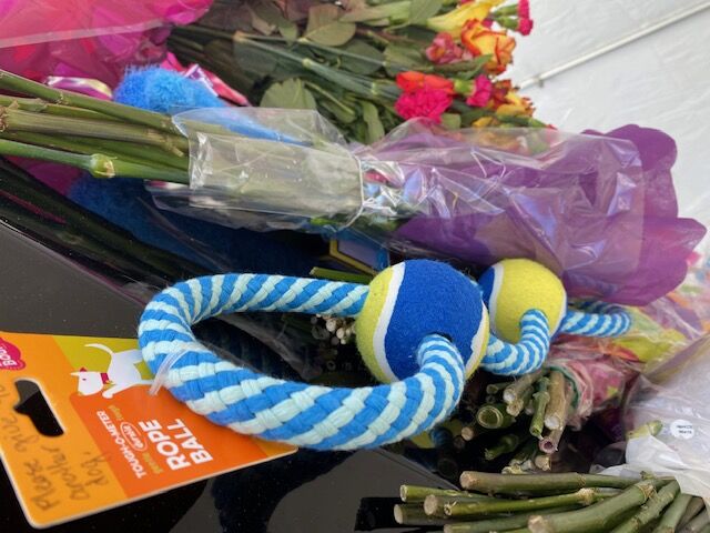 A memorial at the Jefferson County Sheriff's Office to Graffit, the K-9 German Shepard who died in the line of duty this week,  brought out the dog-lovers. (CarolMcKinleyDenver Enterprise Reportercarol.mckinley@gazette.comhttps://denvergazette.com/content/tncms/avatars/5/c3/a0f/5c3a0fbe-1007-11ec-9e18-b7f42cfa4b0f.9565a0ce58866e86bcf18260621c2a46.png)