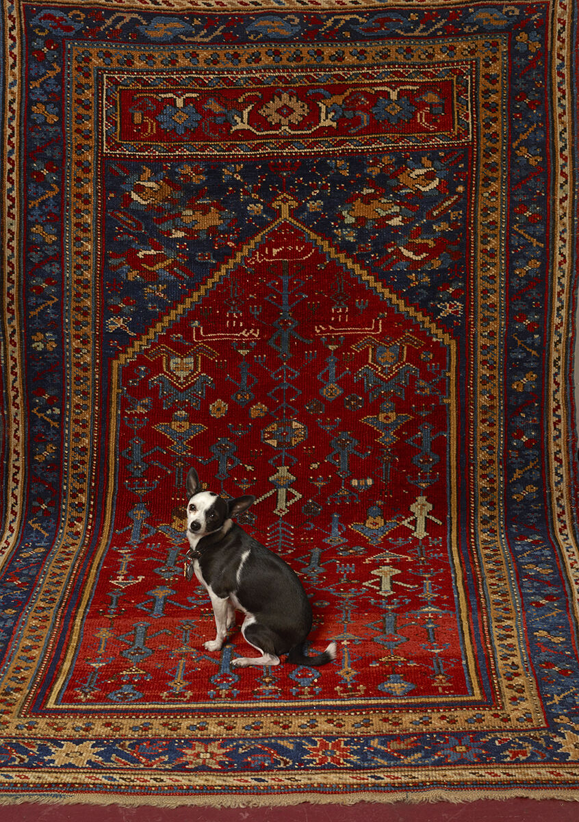 At Home: Don’t let oriental rug sellers pull wool over your eyes