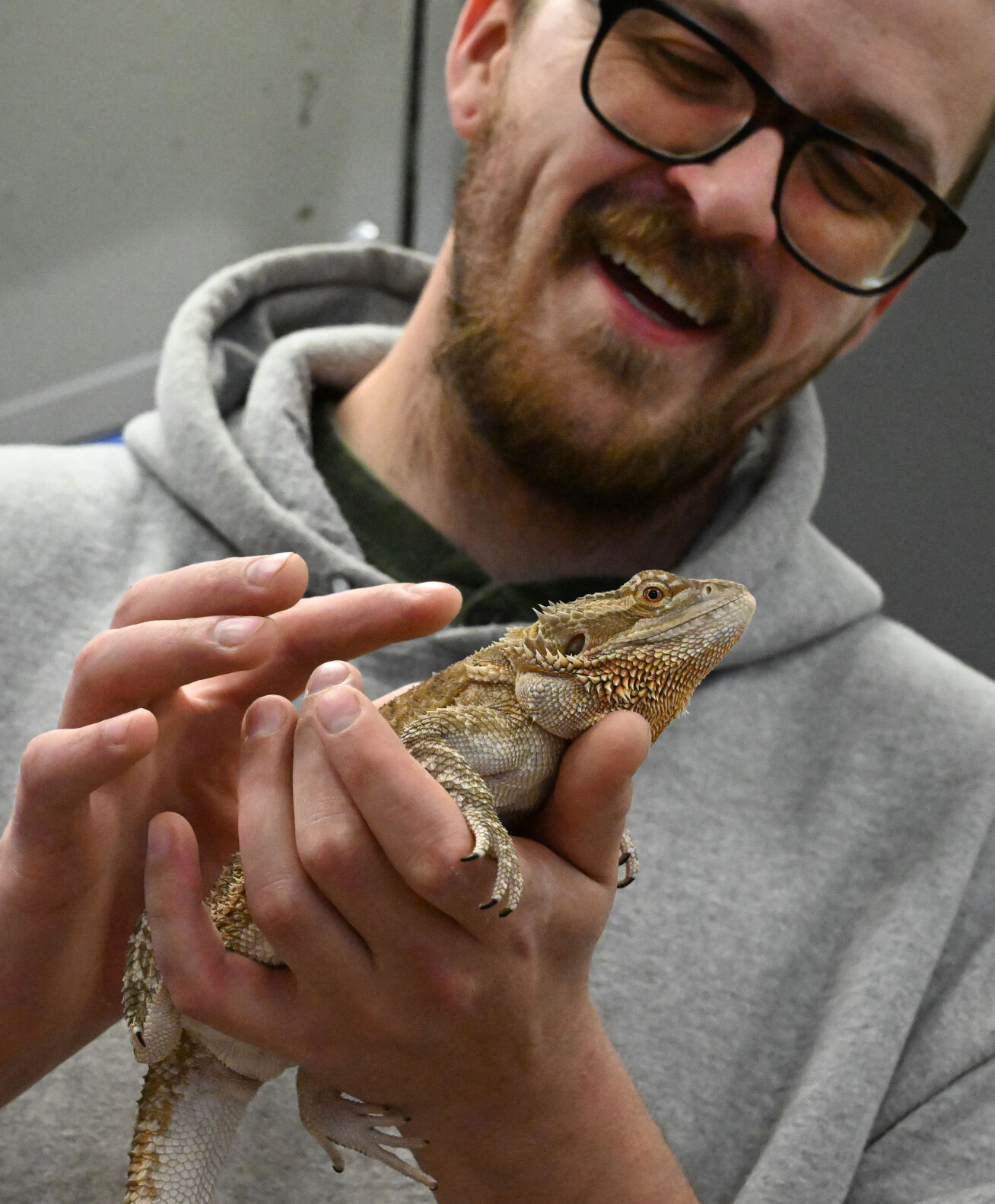 Dylan Franklin, a lover of reptile pets, checks out Leus, a bearded dragon that has just been dropped off for adoption at the Humane Society of the Pikes Peak Region. Leus’ owners had to surrender him because of deployment to Germany. (Photos by Jerilee Bennett, The Gazette)