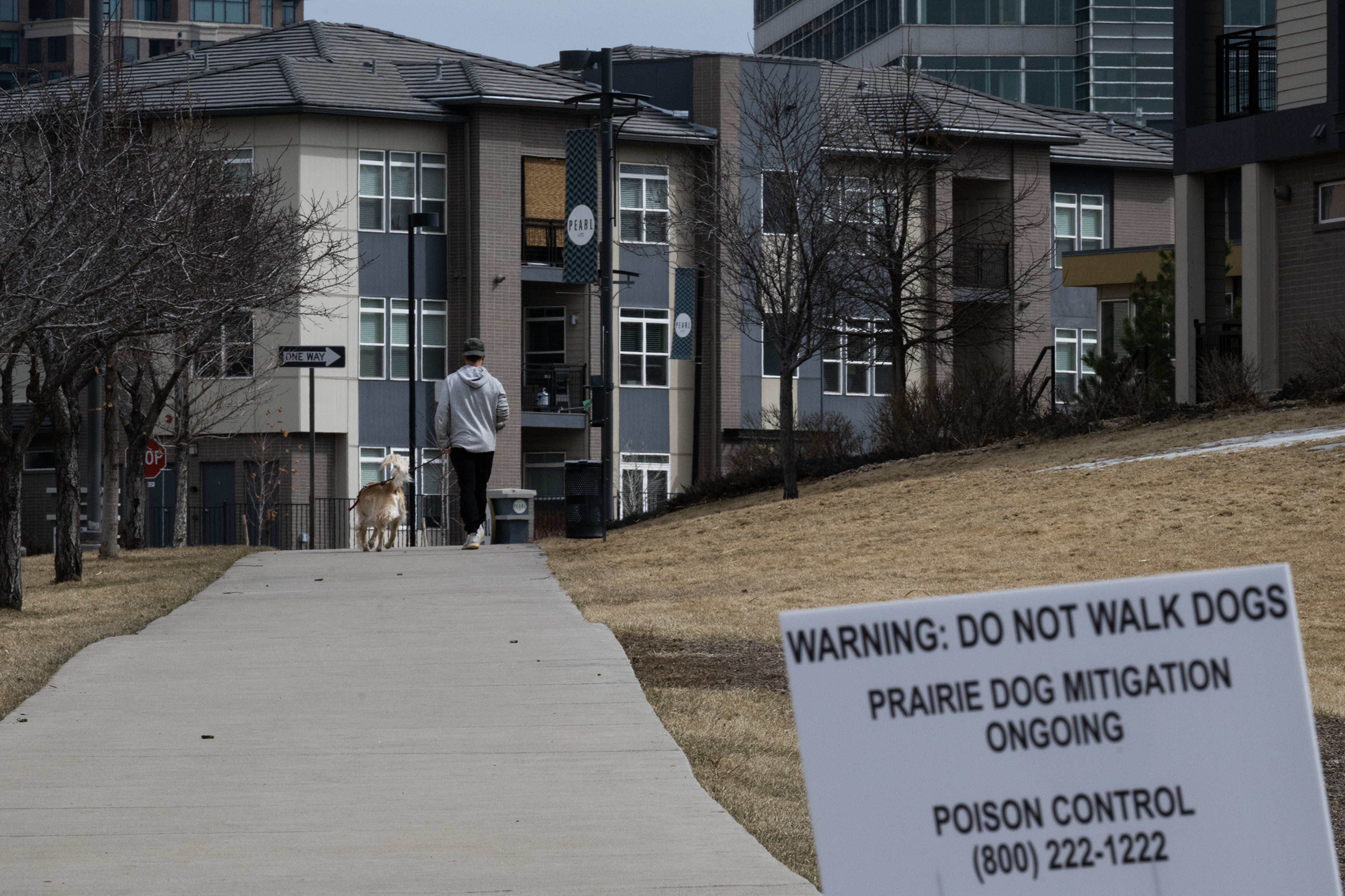 Someone in South Denver seems to be poisoning prairie dogs, but nobody knows who