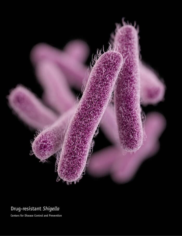 A drug-resistant form of bacteria that can cause diarrhea is becoming more common. (Centers for Disease Control and Prevention)