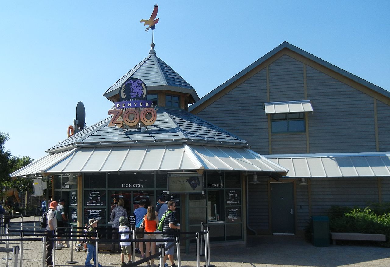 Denver Zoo. Image: Donlammers (Wikimedia Commons).